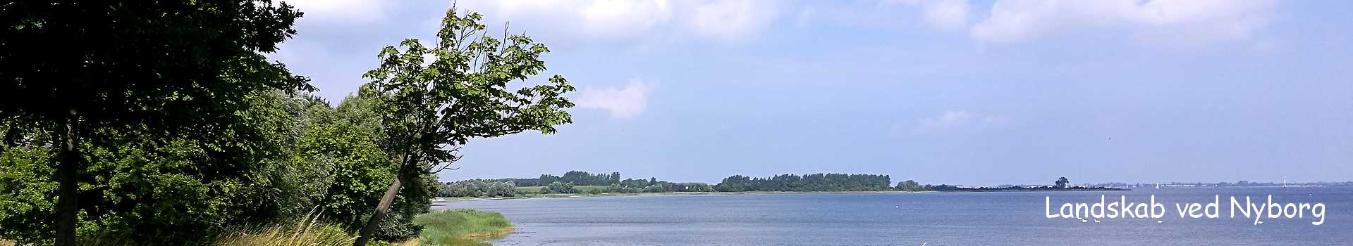 Landskab ved Nyborg på Fyn - topbanner