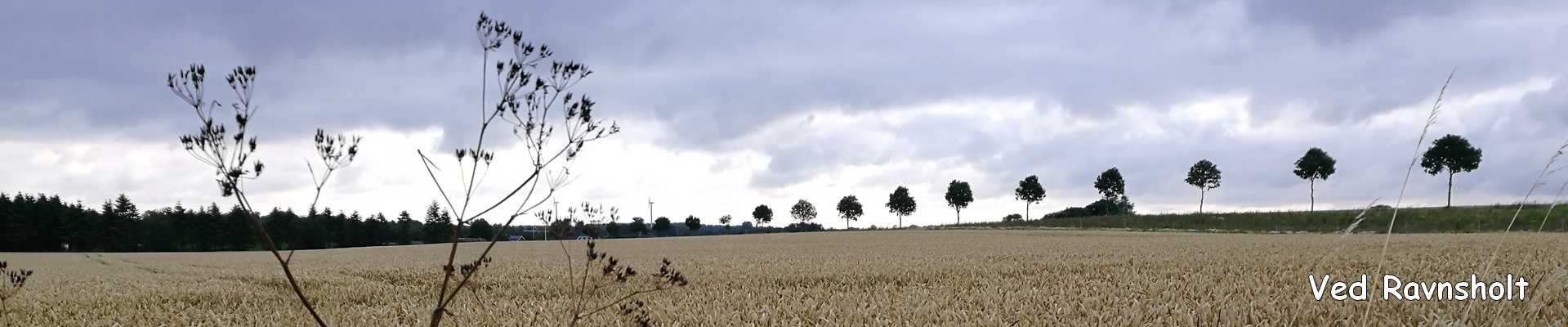 Ved Ravnsholt på fyn - topbanner