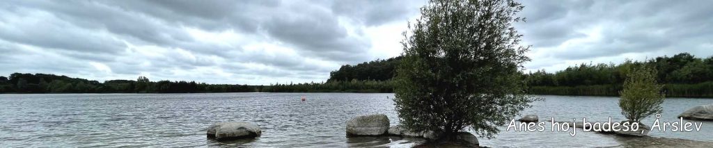 Anes Høj Badesø, Årslev