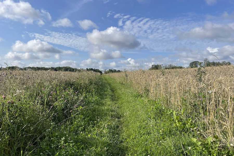 kirkestien i Årslev
