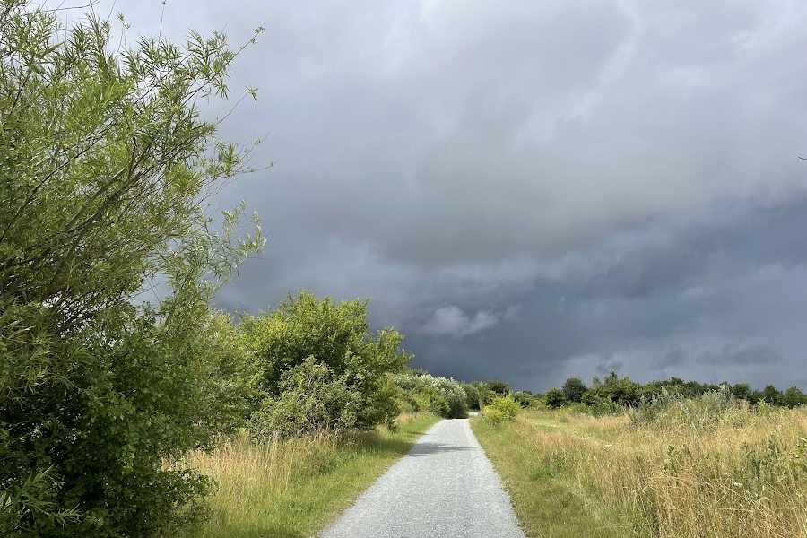 odense Å - regnvejr